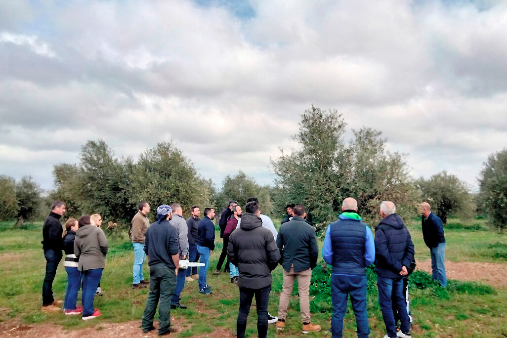Asistentes al curso de poda de olivar