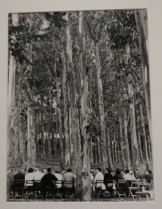 Vigo, Pontevedra, 1964