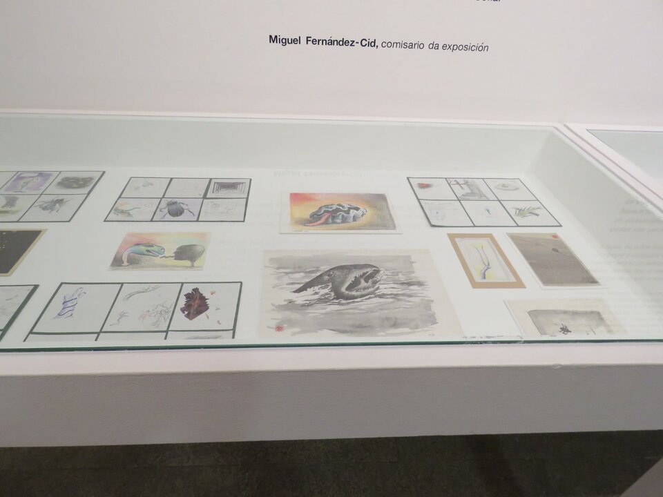 La exposición está comisariada por el director de MARCO, Miguel Fernández-Cid