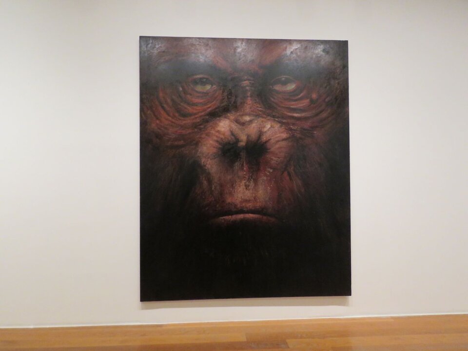 Gorila rojo, 1997