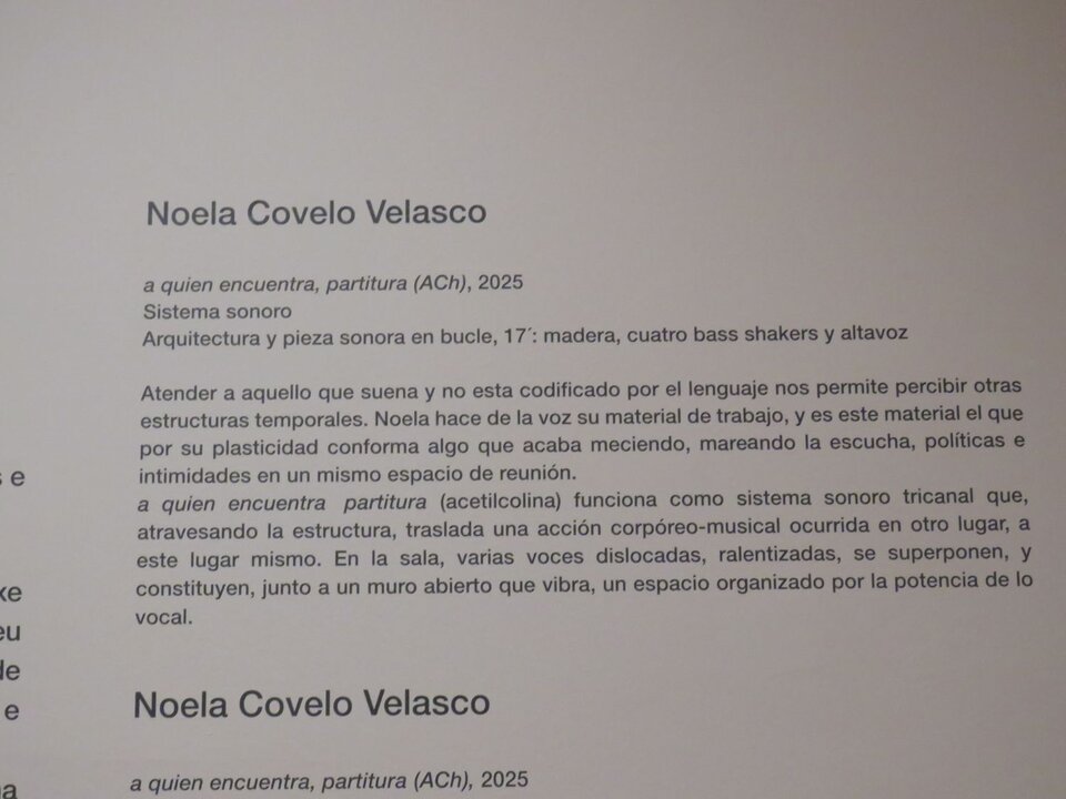 Noela Covelo, asiste a la convocatoria con “a quién encuentra partitura”