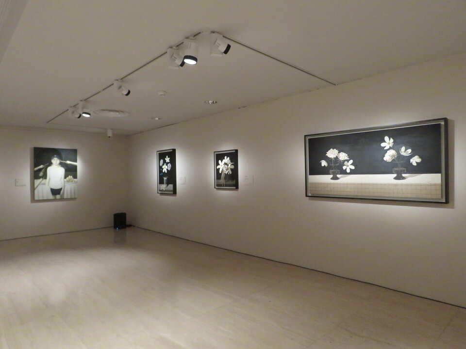 Vista de la exposición