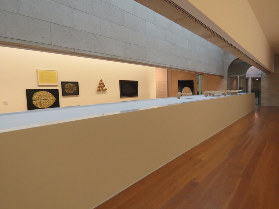 Vista de la exposición
