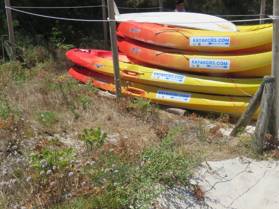 Los visitantes más aventureros tienen la posibilidad de bordear las Islas Cíes o incluso llegar a San Martiño en kayak