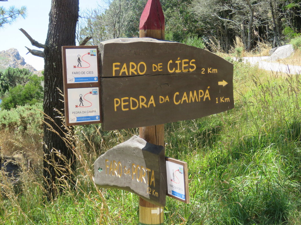 Caminos a elegir