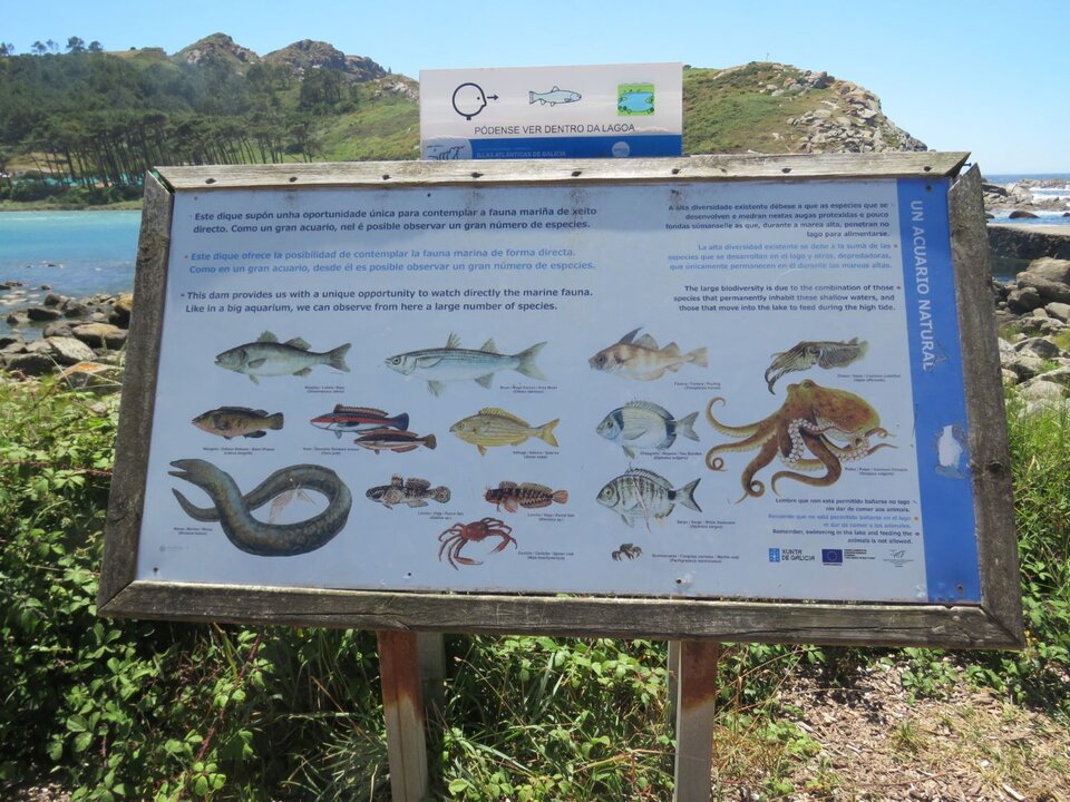 Las Islas Cíes, un acuario natural