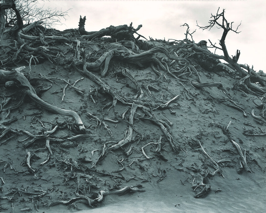Dunes, Death Valley, 1938