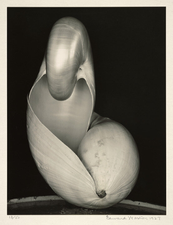Two Shells, 1927