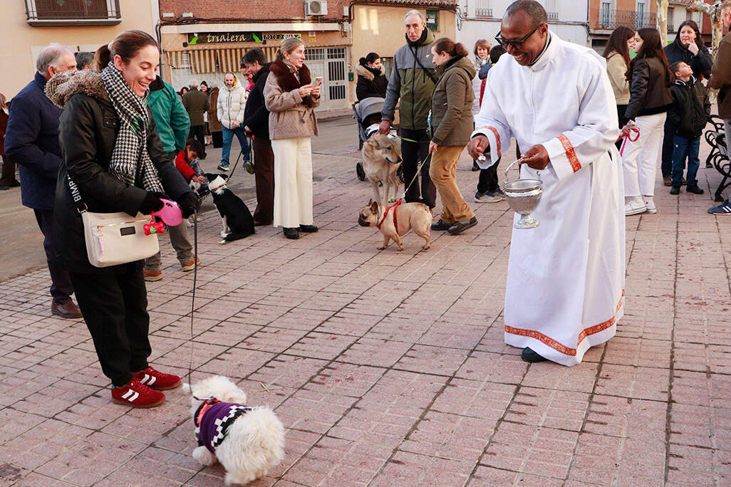 Un momento de la bendición de animales ayer tarde