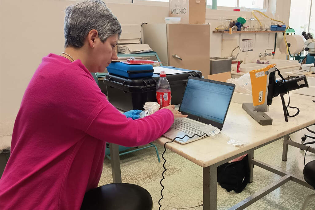 Realizando estudios con piezas halladas este año en Cruz de Mayo