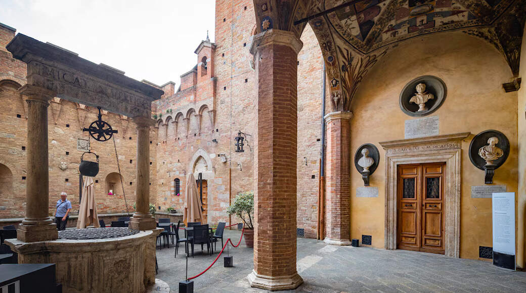 Vista del Palacio Chigi Saracini (2)