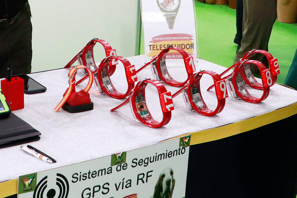 Collares GPS para el seguimiento de ejemplares de rehalas