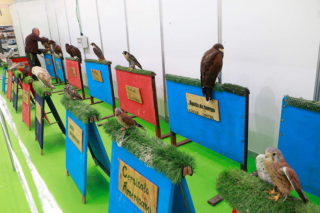 Zona de exposición de aves rapaces