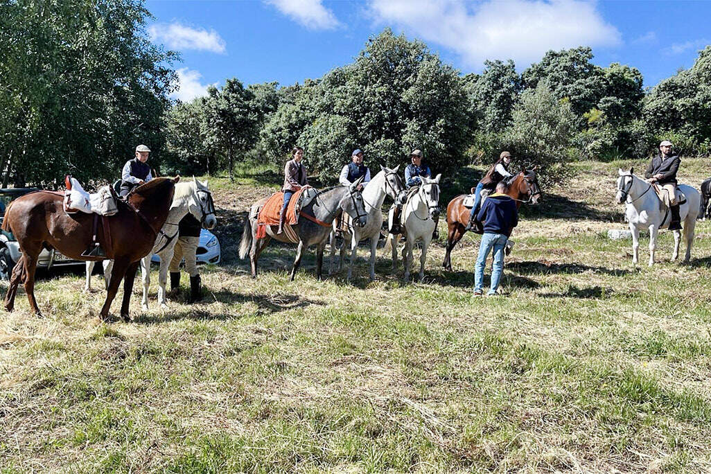 Otro de los grupos de caballos y jinetes que se congregaron en el paraje